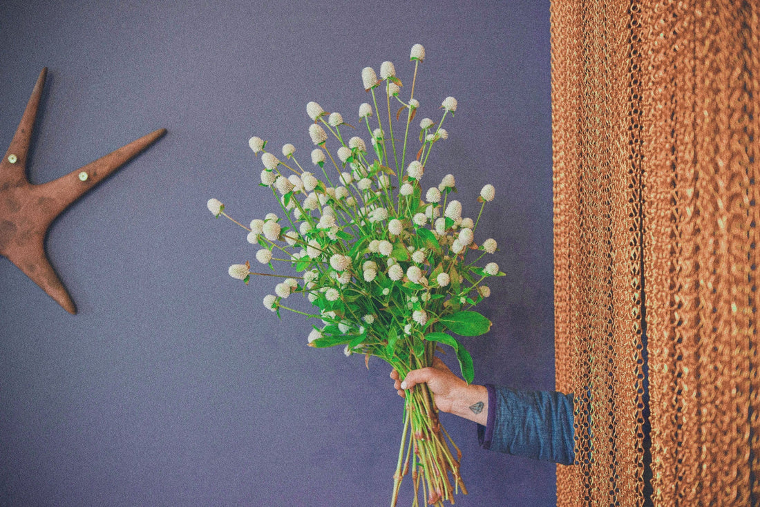 In Praise Of: Gomphrena